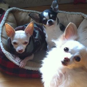 Meet your Posher, Cathy